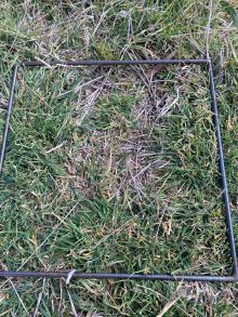 22 3 Kelso Fox North pre cut