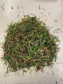 22 3 Kelso Fox North unsorted pre dry