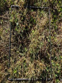 27 1 Europambela Whiterock pre cut