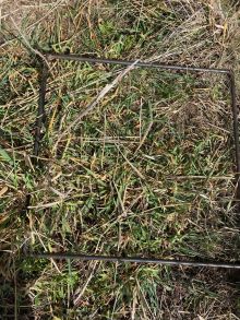 28 Woombi Pumpkin pre cut