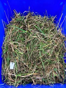 30 Ardlair Millers Corner unsorted pre dry