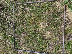 33 West Wilford Specs pre cut