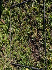 85 Garrawildi Airstrip pre cut