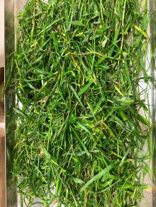 96 Eden Springs School unsorted pre dry