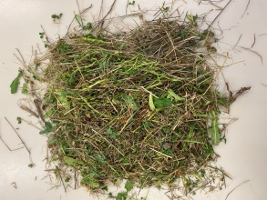 33% unsorted, pre dry