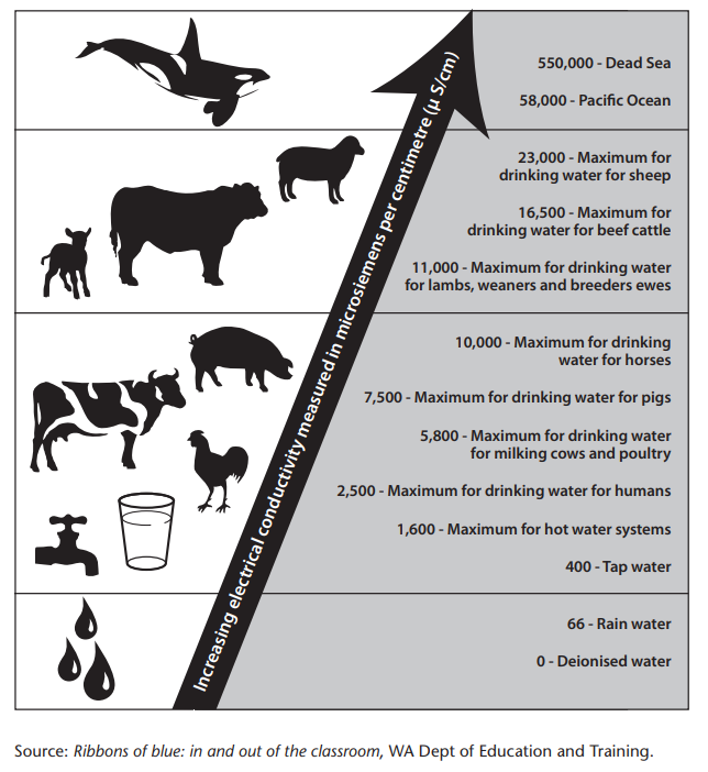Image source: Ribbons of blue in and out of the classroom, WA Department of Education and Training