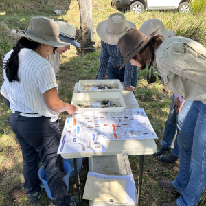 Water session Glen Innes GLENRAC