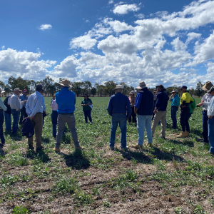 GI pasture update march 2023 2