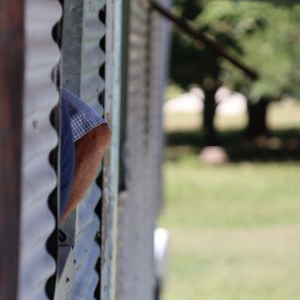 GLENRAC_13022024_window_1_SML